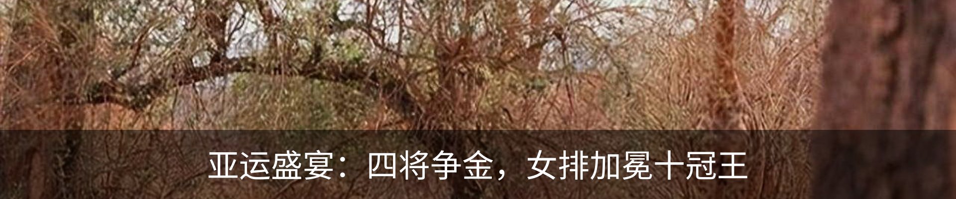 内页banner